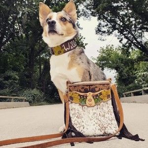 Meet your Posher, Hailey